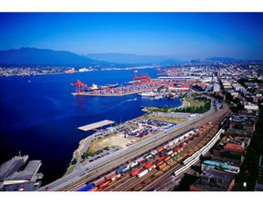 油價重返50美元曙光乍現(xiàn),頁巖油企業(yè)卻要倒在黎明前